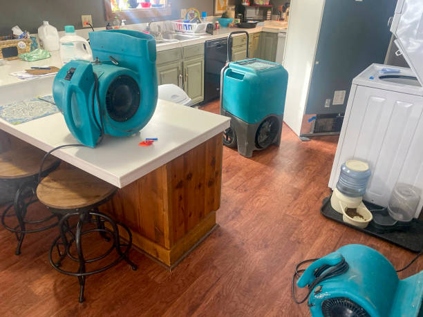 Trusted Rio Dell, CA Water damage restoration Experts