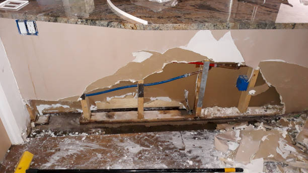 Best Ceiling water damage repair  in Rio Dell, CA