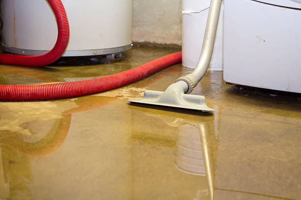 Best Water damage contractors near me  in Rio Dell, CA