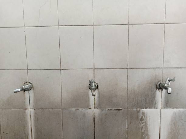 Best Ceiling water damage repair  in Rio Dell, CA