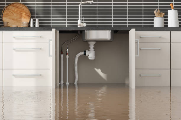 Best 24/7 water damage repair  in Rio Dell, CA