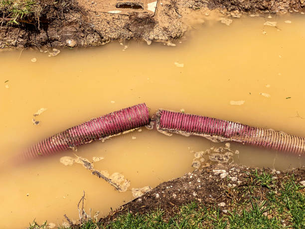 Professional Water damage restoration in Rio Dell, CA