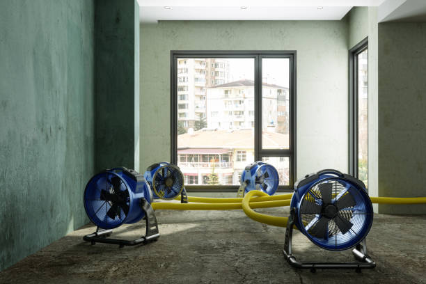 Best Professional water damage repair  in Rio Dell, CA