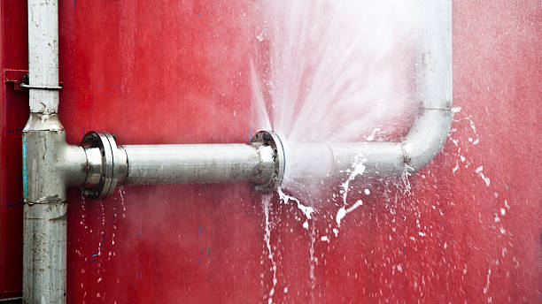 Best Flood damage cleanup  in Rio Dell, CA