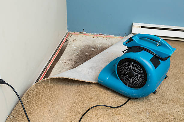 Best Water damage restoration near me  in Rio Dell, CA